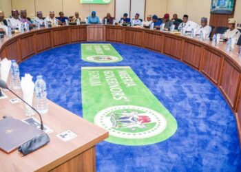 NGF, Ned Nwoko Disagree Over Paris club Refund