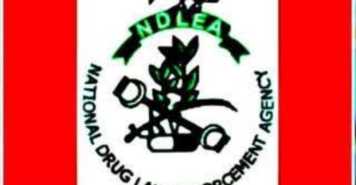 Drug Abuse:”Nigeria hosts 10.6 million Drug Addicts” – NDLEA