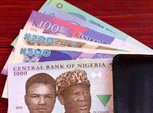 Buhari Unveils Redesigned Naira Notes