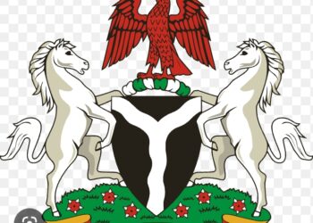 Nigerians robbed of vital documents in  Europe, US- FG