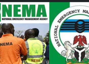 NEMA receives 105 stranded Nigerians 