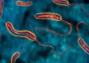 Suspected Cholera outbreak claims several lives.