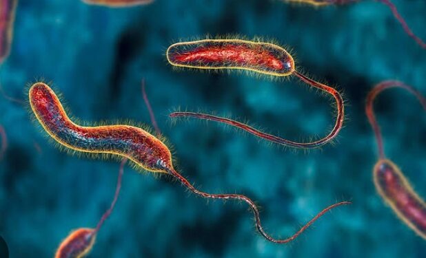 Suspected Cholera outbreak claims several lives.