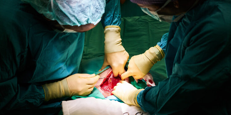 Teenagers sell Organs for N200,000