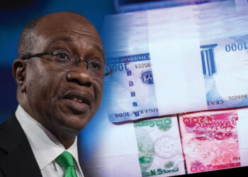 Group dares CBN Governor to publish disbursed new naira notes to banks