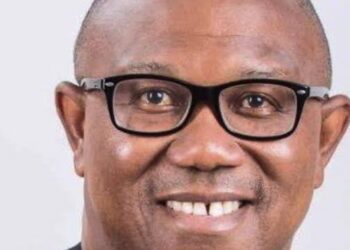 2023 General election: Peter Obi wins Delta