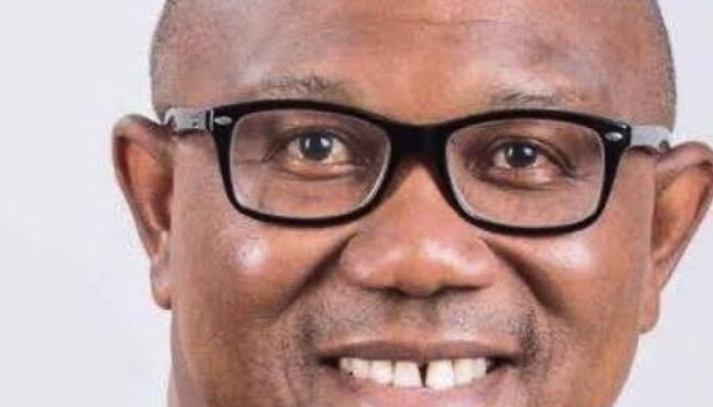 2023 General election: Peter Obi wins Delta