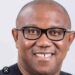 2023 General election: Peter Obi wins Delta