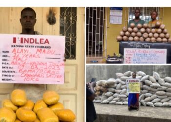 Ex-Boko Haram Fighter, Traditional Ruler, 35 Others Arrested For Drug Trafficking