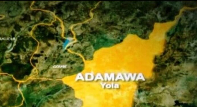 A shift in Adamawa Guber election results