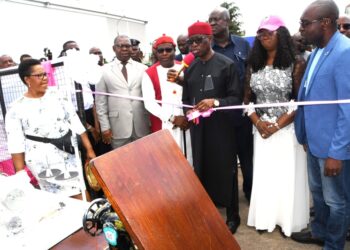 “Financial discipline,  key to business success”-Okowa
