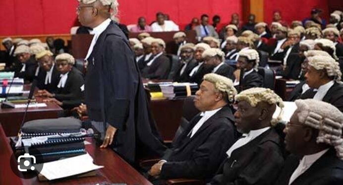 Presidential election tribunal: The journey so far