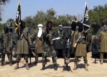 Eight Boko Haram fighters ceded to Nigerian troops