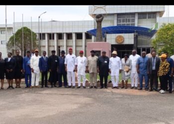 New Law Needed for Effective Community Security in Delta – DOPF