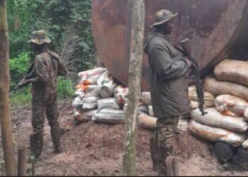 Niger Delta Crackdown: 11 Refineries Destroyed, 50 Arrested