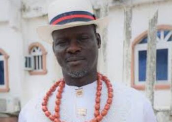 Delta Activist Calls for Unity and Progress and Development