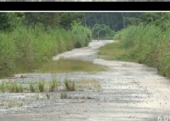 Amuokpokpor-Elume community cries to  NDDC over  Road Collapse
