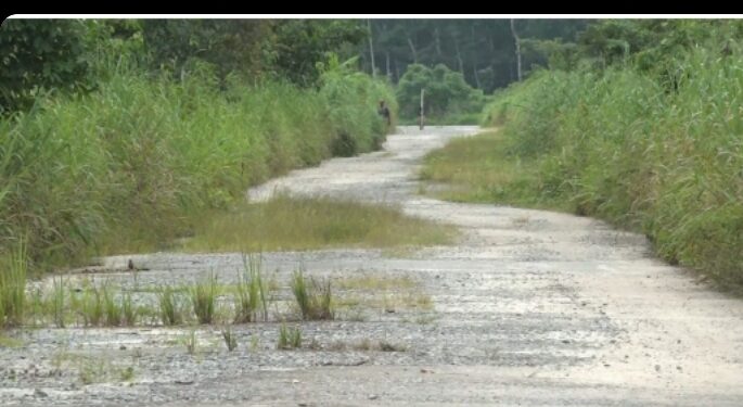 Amuokpokpor-Elume community cries to  NDDC over  Road Collapse