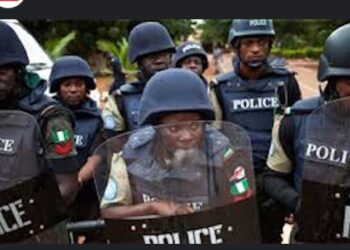 Imo: 789 Suspects Arrested, Kidnapped Victims Rescue