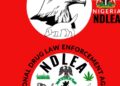 ₦338bn Cocaine Bust: NDLEA Collaborate with inter. Bodies to Bring Masterminds to Justice