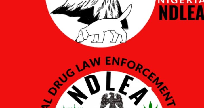 ₦338bn Cocaine Bust: NDLEA Collaborate with inter. Bodies to Bring Masterminds to Justice