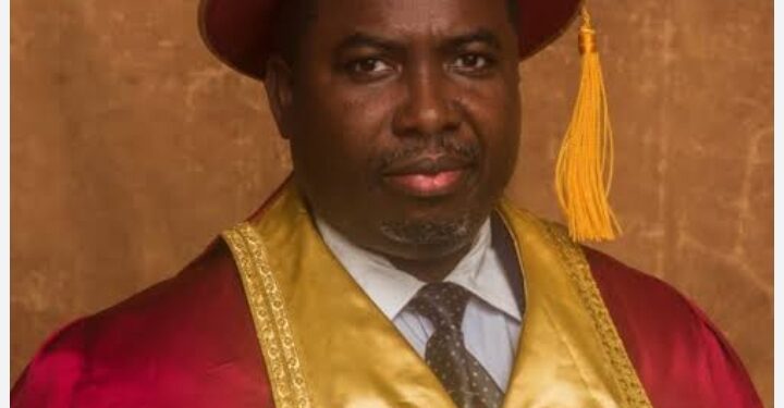 INEC Warns: Democracy Under Threat