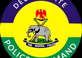 Delta Police Smash Kidnap Ring, Recover Rifle & Ammunition