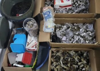 Delta Police Crack Down on Crime