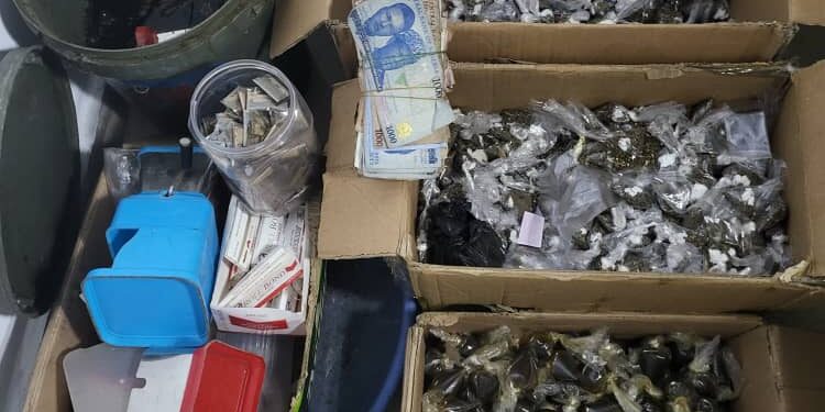 Delta Police Crack Down on Crime