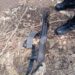 Delta Police Smash Kidnap Syndicate, Rescue 3 Victims