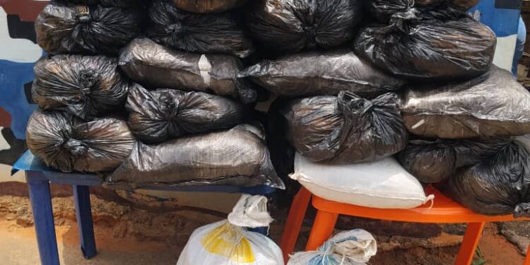 Delta Police Nab Drug Suspect, Seize Bags of Cannabis