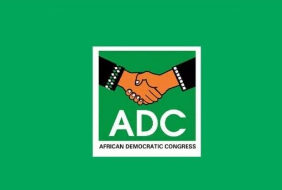Court Suspends ADC Activities in Katsina State