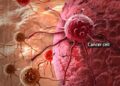 Cancer Experts Report Major Breakthroughs