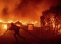 Wildfire Displaces Over 200,000 Persons as Flames Advance`