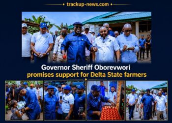 33kV Power Line, Access Roads Coming for Delta Farms – Oborevwori