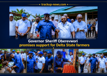 33kV Power Line, Access Roads Coming for Delta Farms – Oborevwori