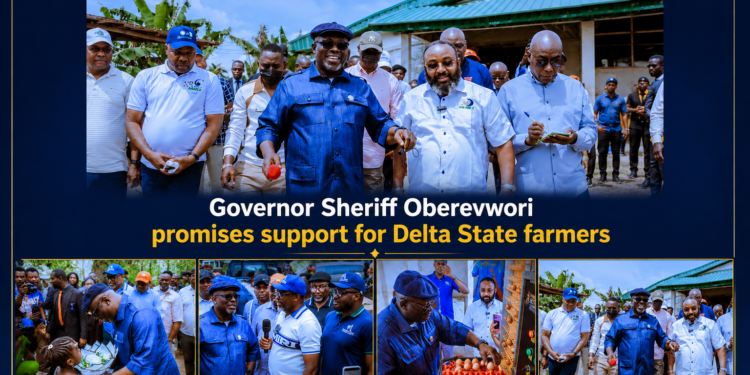 33kV Power Line, Access Roads Coming for Delta Farms – Oborevwori