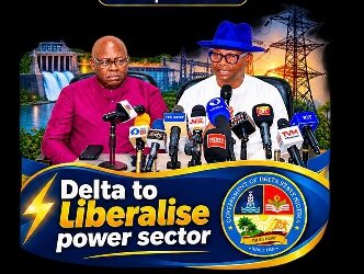 Delta State Govt Moves to End Power Monopoly, Woos Investors- Aniagwu