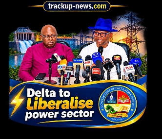 Delta State Govt Moves to End Power Monopoly, Woos Investors- Aniagwu