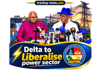Delta State Govt Moves to End Power Monopoly, Woos Investors- Aniagwu
